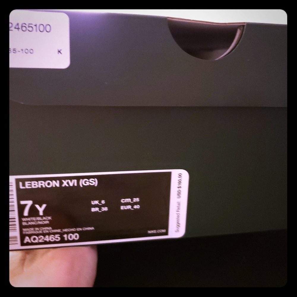 Lebron xvi